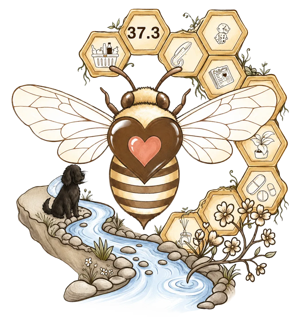 Allerbienen Celle - Betreuungsdienst - Logo
